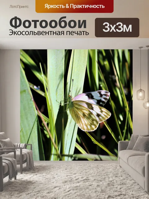 Фотообои Белая клетчатая бабочка в траве