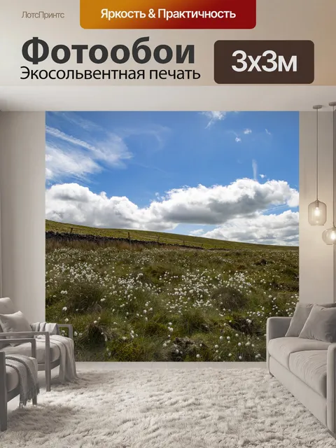 Фотообои Цветы хлопковой травы