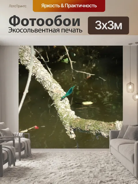 Фотообои Blue покупать выстрел редких