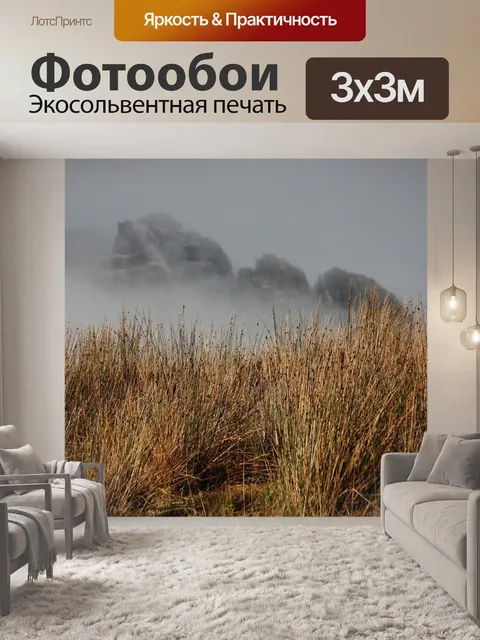Фотообои Шотландия
