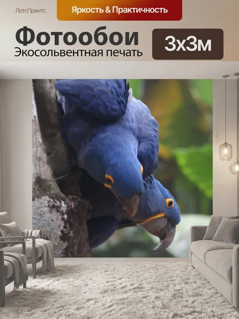 Фотообои Птицы