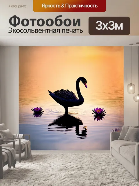 Фотообои гладкая черная поверхность воды отражает силуэт черного лебедя, вальсирующего среди ярких вод lilies