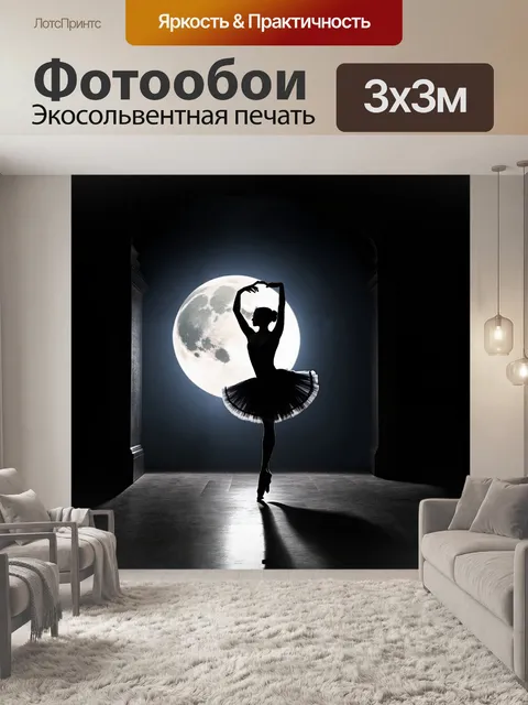 Фотообои балерина в элегантной позе, её силуэт вырезан на фоне залитого лунным светом зала