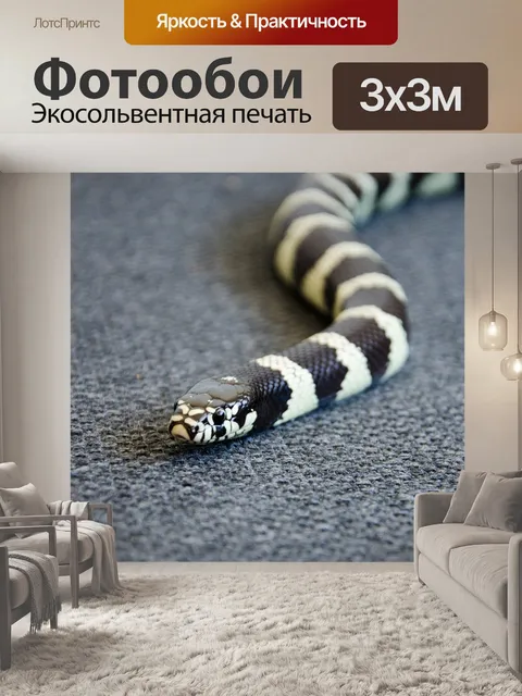 Фотообои Король змея
