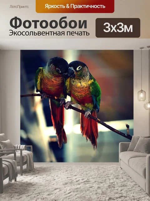 Фотообои Птица
