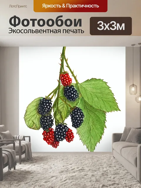 Фотообои Плоды ежевики фрукты искусство