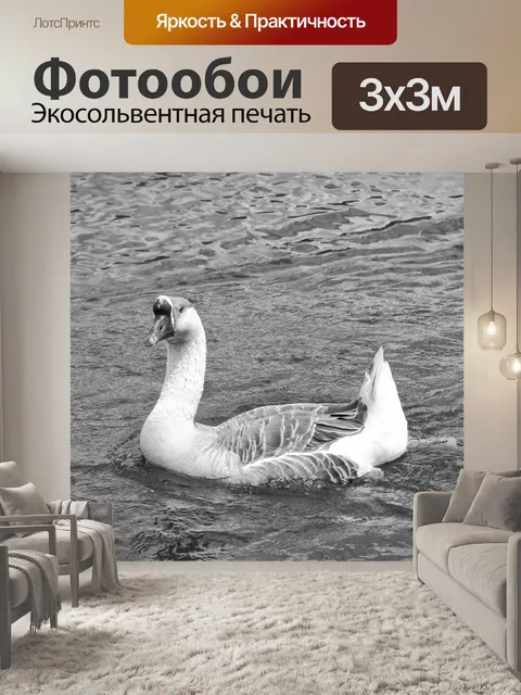 Фотообои Морской гусь