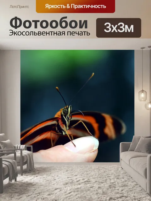 Фотообои Бабочка