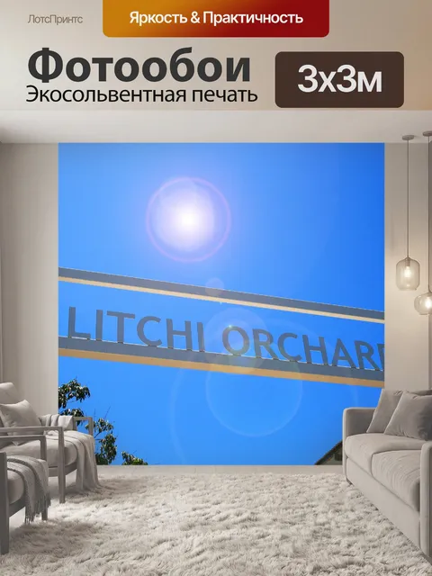 Фотообои вход в личи сад