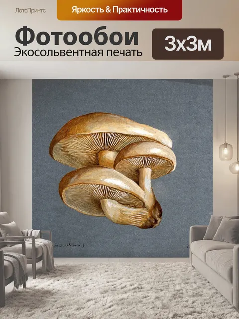 Фотообои Винтажная иллюстрация чемпиона грибов