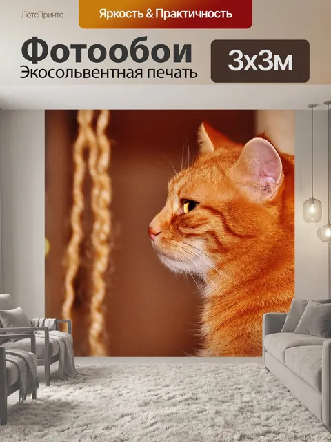 Фотообои Кот