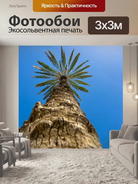 Фотообои Пальма и голубое небо