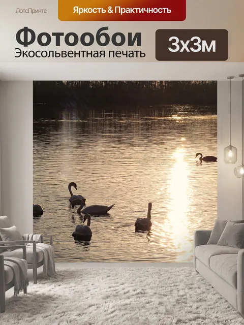 Фотообои Лебеди