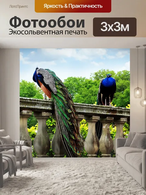 Фотообои Павлин