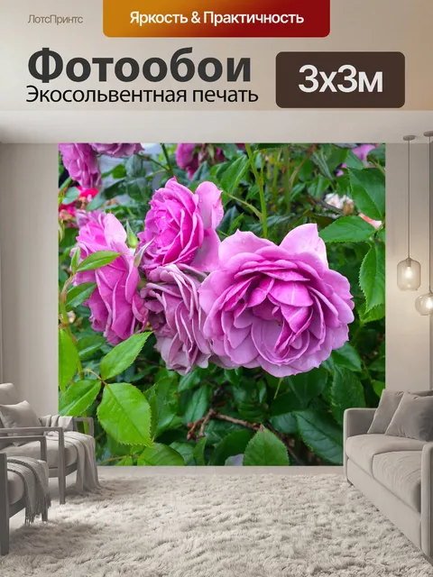 Фотообои Английские розы