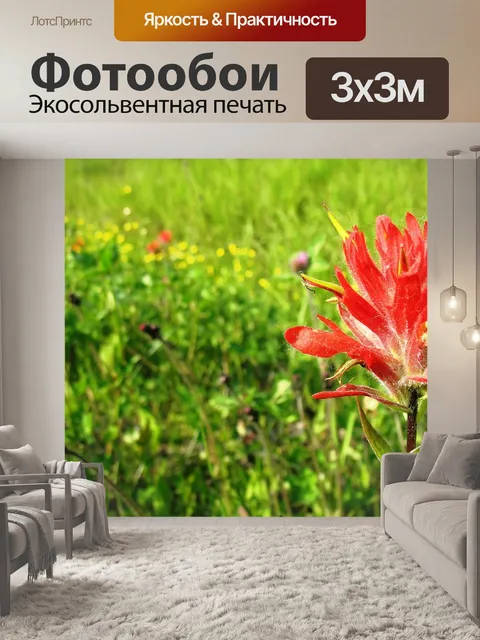 Фотообои Индийская кисть