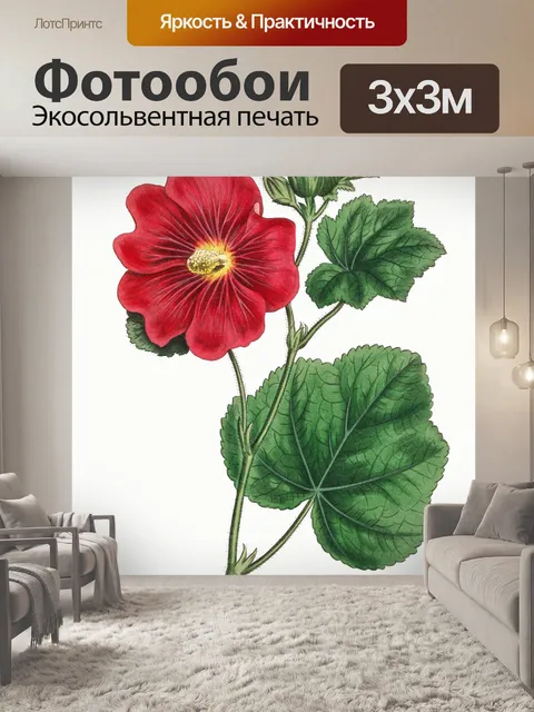 Фотообои Цветок гибискуса нарисовал искусство