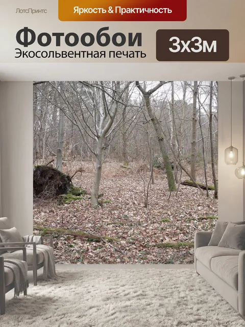 Фотообои Лесная поляна