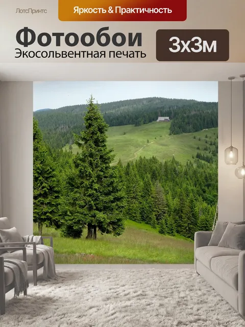 Фотообои Тюрбан