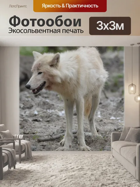 Фотообои Волк 05