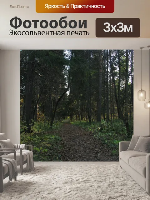 Фотообои Лес