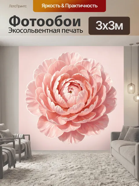 Фотообои Розовый пышный цветок вблизи