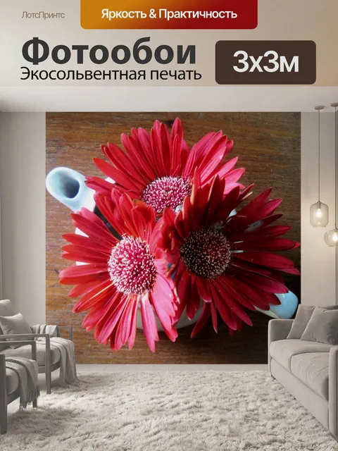 Фотообои Барбертона ромашки в белом горшок
