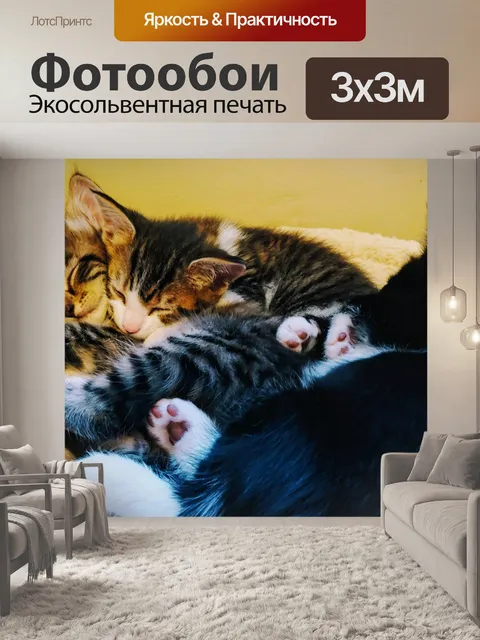 Фотообои 3 котята дремлют