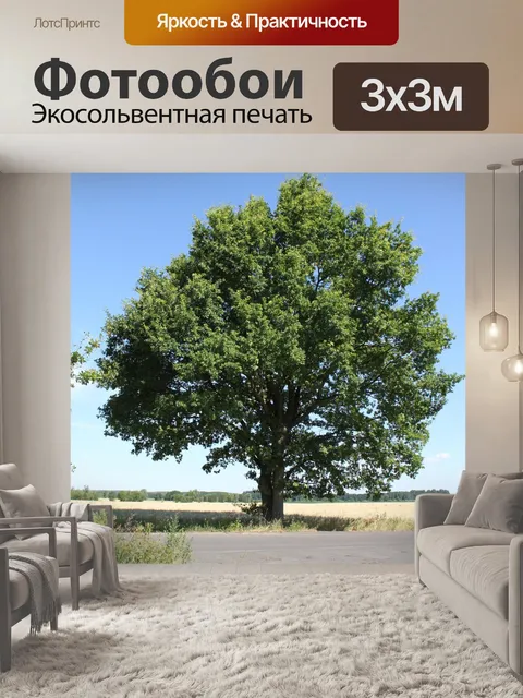 Фотообои Дерево