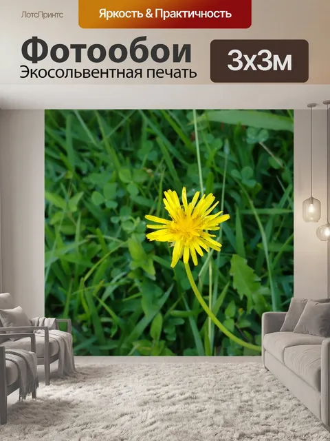 Фотообои Натуралеза