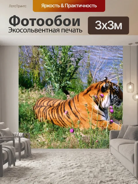 Фотообои Тигр