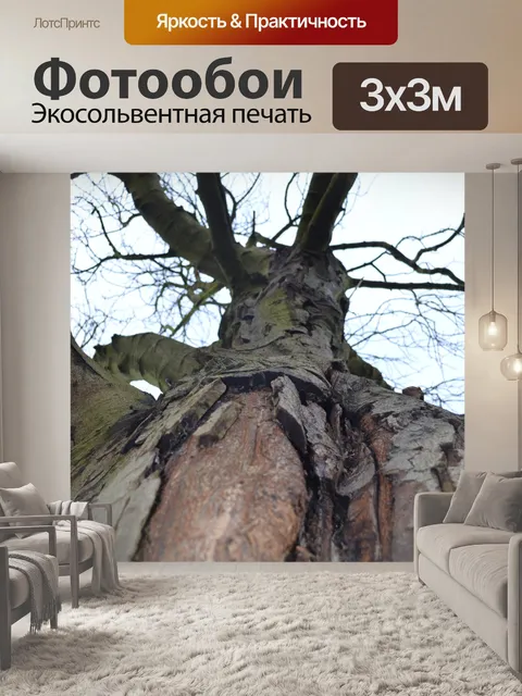 Фотообои Старое дерево