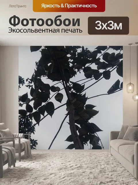 Фотообои Ночной вид на обрезку