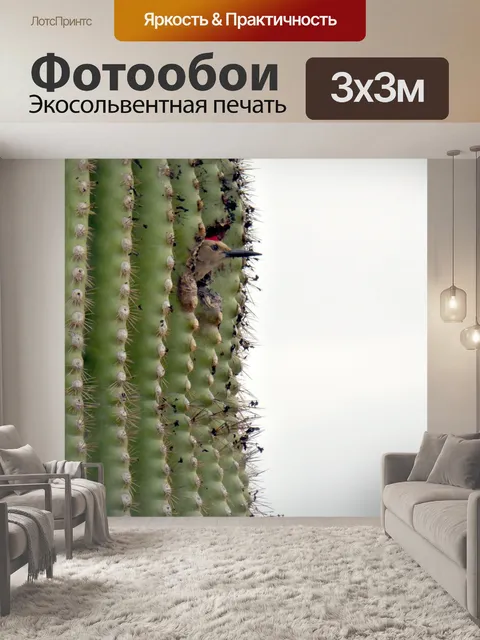 Фотообои Птица внутри сагуарового кактуса