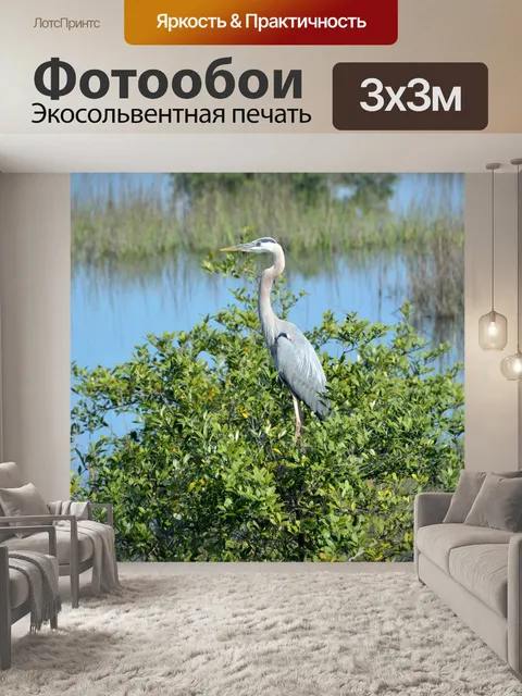 Фотообои Большая голубая цапля