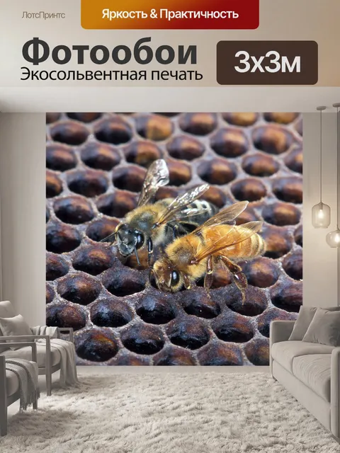 Фотообои Рабочие пчелы на Honeycomb