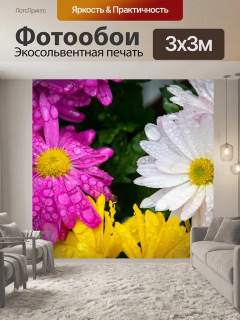 Фотообои Хризантемы
