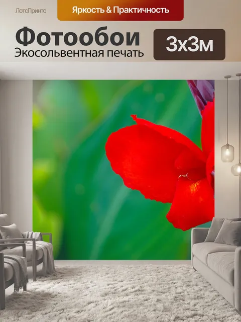 Фотообои Тропический красный цветок