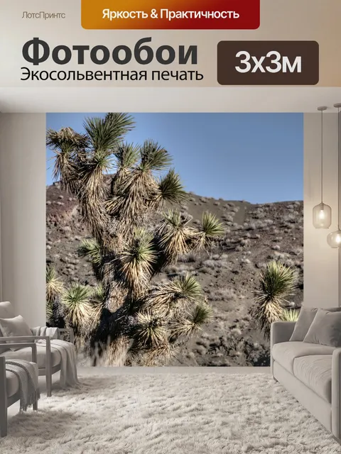 Фотообои Деревья Джошуа кактусы