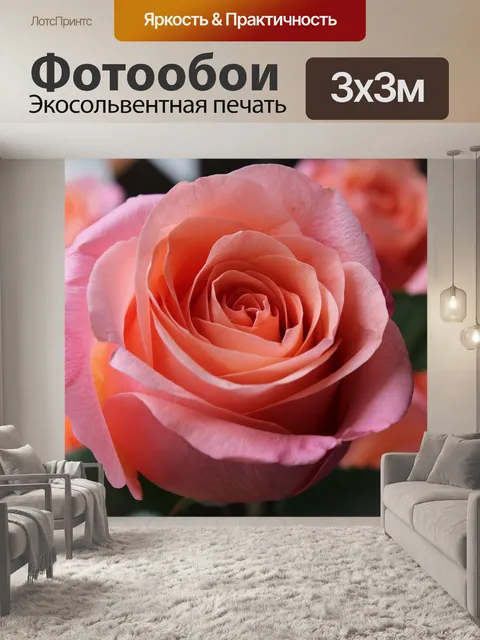 Фотообои Pink rose