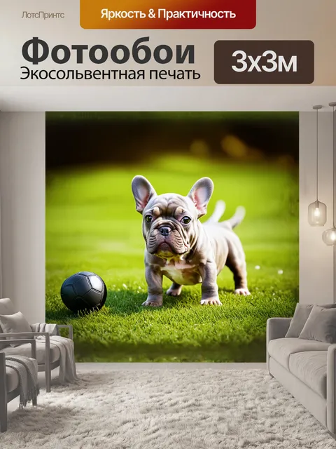 Фотообои веселый щенок французского бульдога