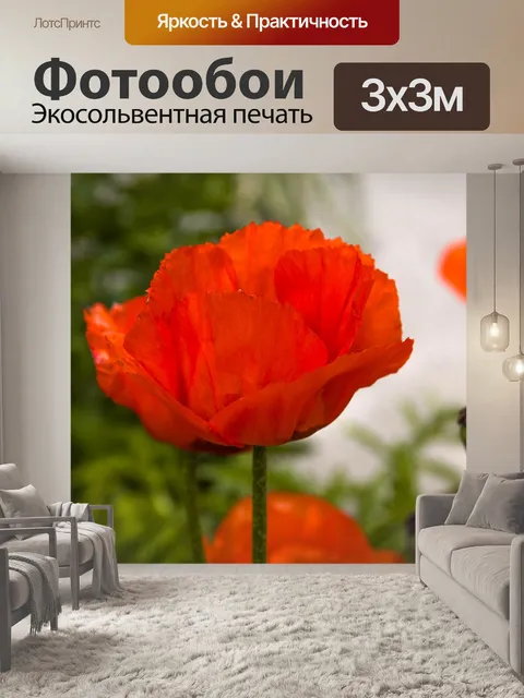 Фотообои Маки