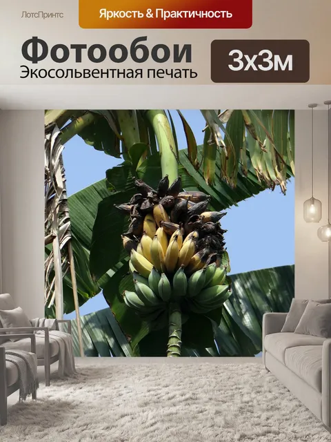 Фотообои Дикий банан