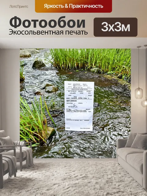 Фотообои природный заповедник с участниками спортивного ориентирования, прокладывающими маршрут через ручейки и камни