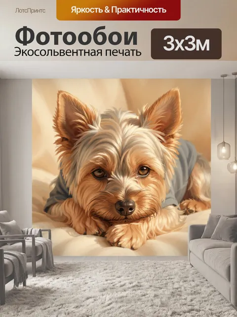 Фотообои Йоркширский терьер на мягком пледе