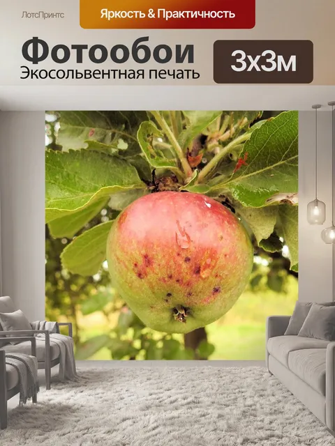 Фотообои Яблоко