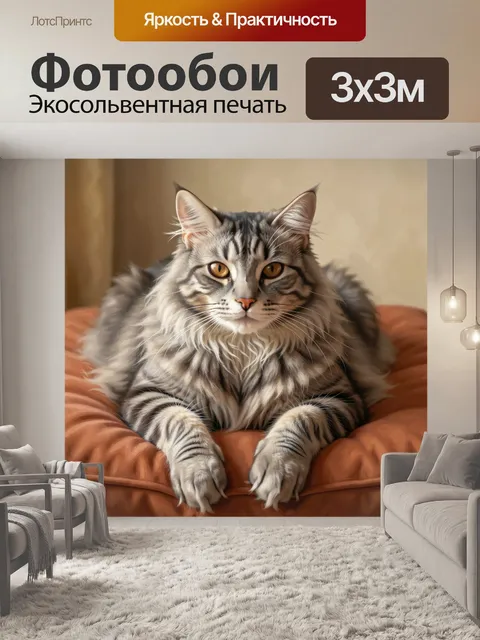 Фотообои Пушистый серый мейн-кун
