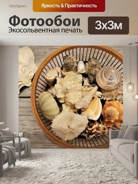 Фотообои Ракушки в корзине вид сверху