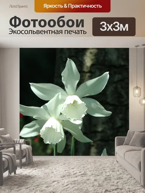 Фотообои Белый нарцисс