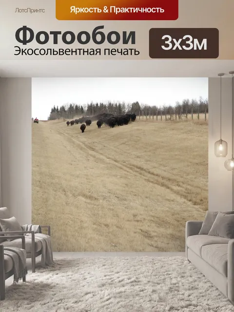 Фотообои Крупный рогатый скот Drive